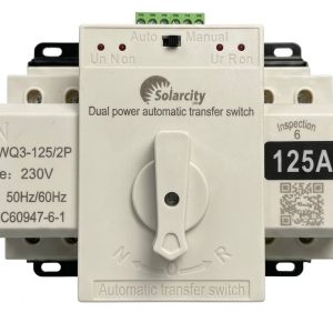 BỘ CHUYỂN NGUỒN TỰ ĐỘNG ATS 2P 125A LWR